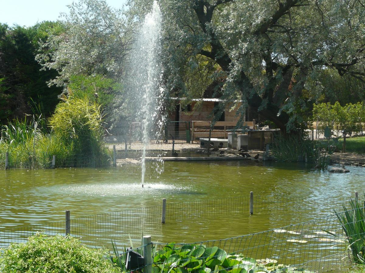 Mas Provencal Avec Une Agreable Piscine Privee, Situe Aux Vigneres, Proche De L'Isle Sur La Sorgue, 8 Personnes, Ls2-109 Tenamen Villa Les Vigneres Exterior photo